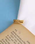 double chain ring