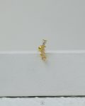 golden arrow piercing